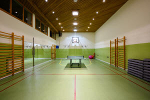 Belvedere Resort Spa қонақ үйі Закопане таулары Татра Польша демалыс