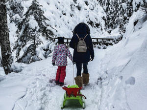 Belvedere Resort Spa қонақ үйі Закопане таулары Татра Польша демалыс